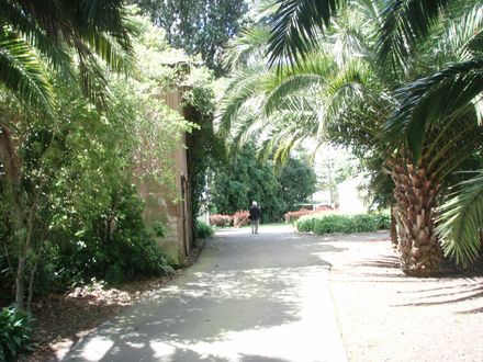 "Waimarama", 46 Alfred Street