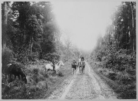 On Road through Totara Reserve