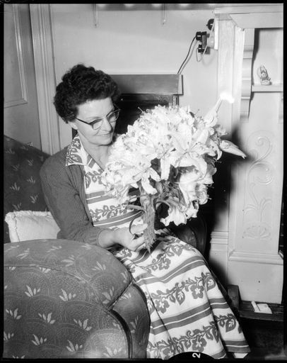 "All From One Bulb of a Lily" - Resource cover image