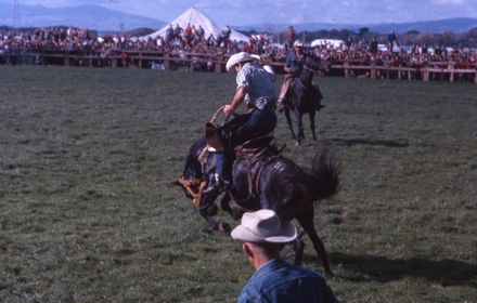 Linton Rodeo
