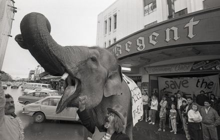 "Elephant Weighs in for Regent"