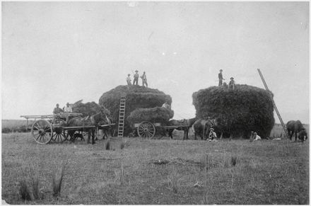 Stacking oats, Feilding area