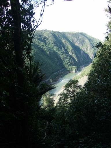 White Horse Rapids, Tawa Loop track, Manawatu Gorge