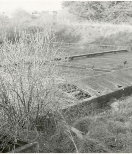 Sewage Treatment Ponds, Palmerston North