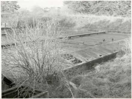 Sewage Treatment Ponds, Palmerston North