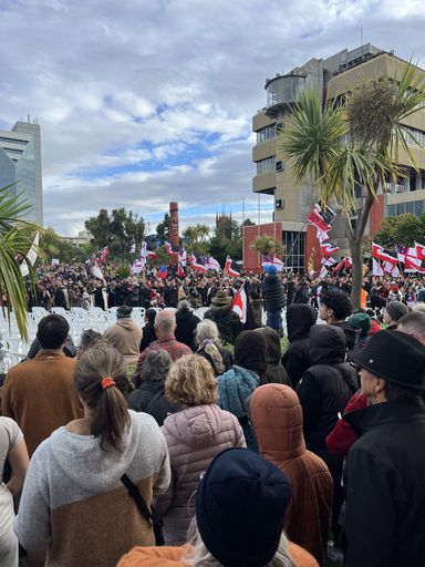 Hīkoi mō te Tiriti