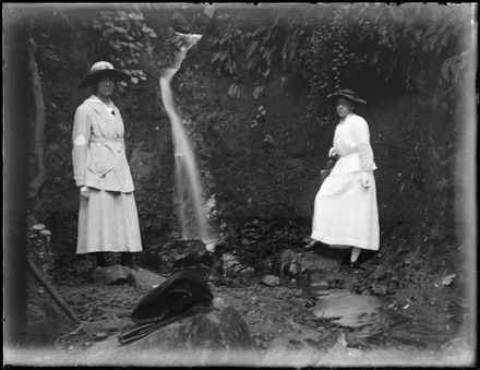 Friends of the Berry Family - Resource cover image