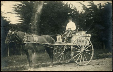 T. Parkins, Butcher 2