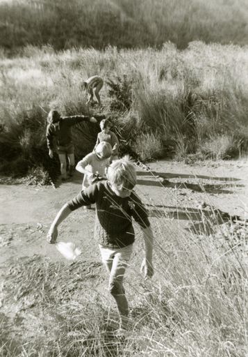 Cubs on obstacle Course