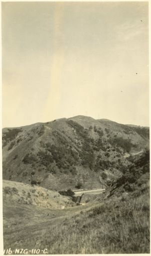 Mangahao Transmission Line - Resource cover image