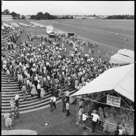 2018N_2017-20_MS000897a - [Feilding Show}