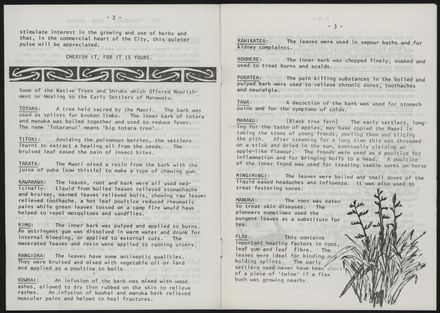 Totaranui Herb Garden, Manawatu Museum 3