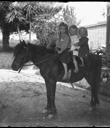 Aldrich children on pony at "Matsubara"