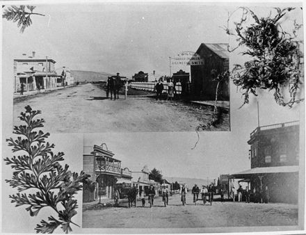 Views of Cambridge Avenue, Ashhurst