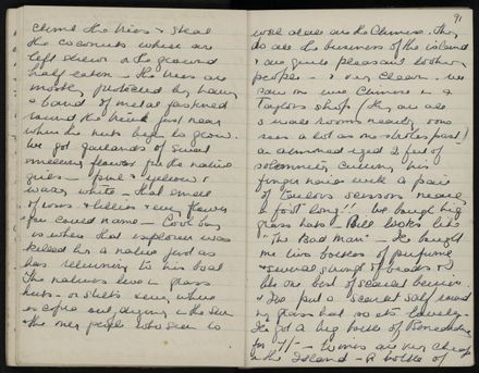 Ann Jacques Diary - 42