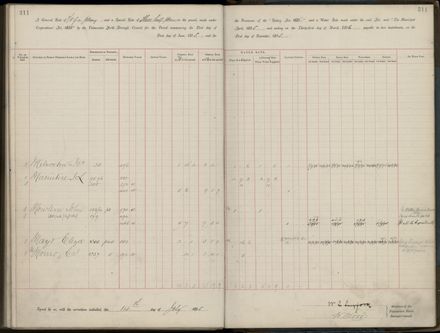 Palmerston North Rate Book, 1893 - 1896, 316