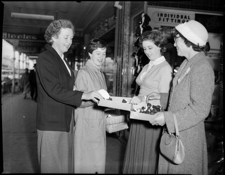 Purchasing Their Poppies - Resource cover image