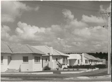 Unidentified House, Palmerston North
