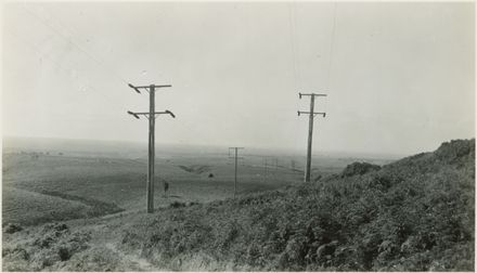 Mangahao Transmission Line - Resource cover image