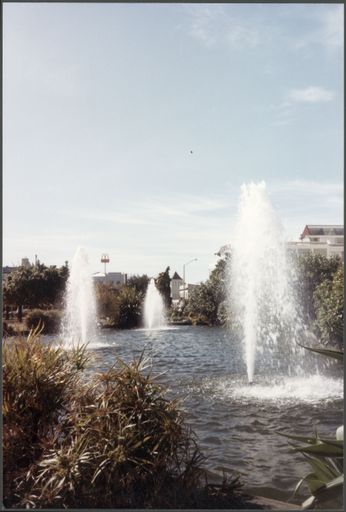 Butterfly Lakelet, The Square