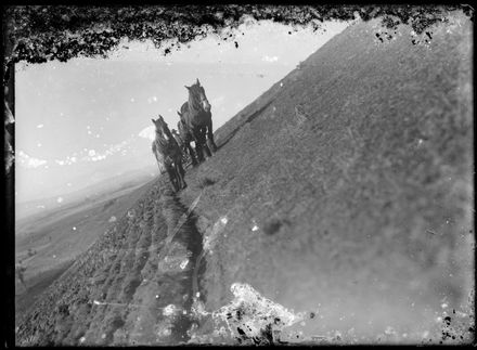 Team of Horses Ploughing Field