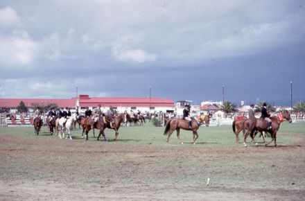 Winning Horses at the A&P Show