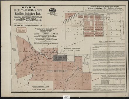 Map of land for sale in the Manukau township area