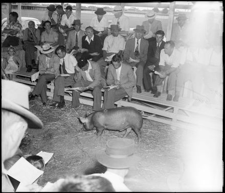 "Buyers Bid Highly" - Stock Auction