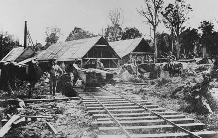 Trondjhem Sawmill, Bunnythorpe