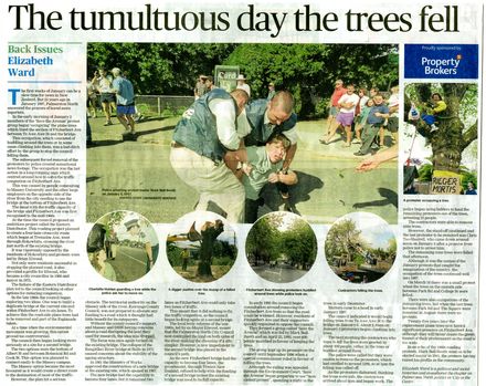 Back Issues: The tumultuous day the trees fell