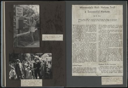 A Project to Rehabilitate the Esplanade Bush, Palmerston North 11