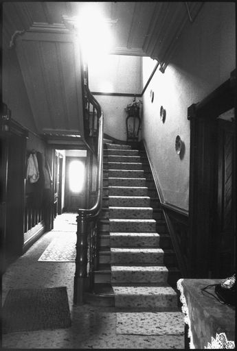 Staircase at 16 Guy Avenue