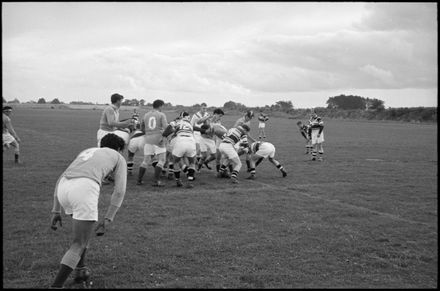 Focus on Sport: Rugby League