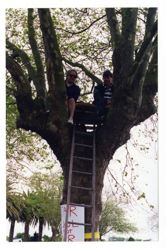 Avenue Action - protestors in tree
