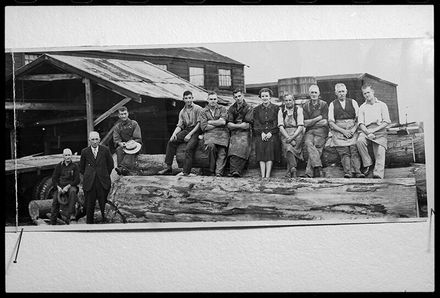 Group sitting on logs