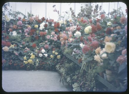 Victoria Esplanade Gardens - Peter Black Conservatory