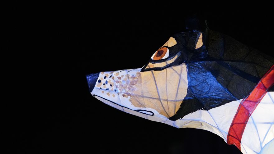 Cultural Lantern Parade 17 March 2018 - Resource cover image