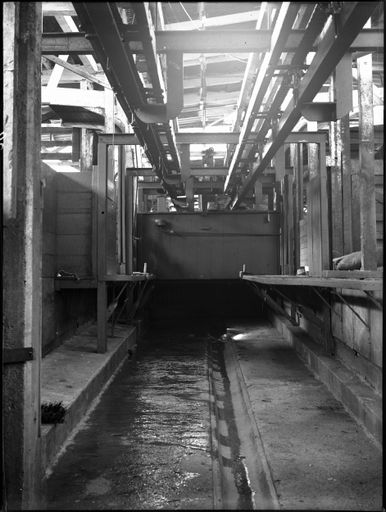 interior, Longburn Freezing Works