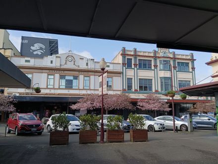 Norfolk House and CM Ross Building - Coleman Place - Resource cover image