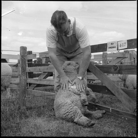 "Prize Southdown Ewe Lamb"