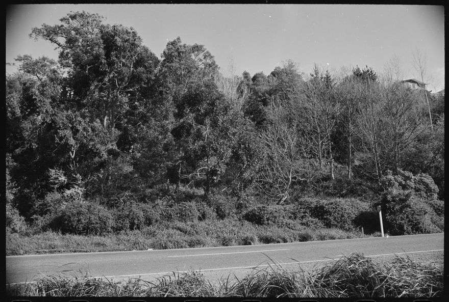 2025N_ELMAR_S6-B101_043535-012