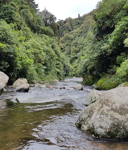 Kahuterawa Stream from Argyle Rocks