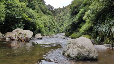 Kahuterawa Stream from Argyle Rocks