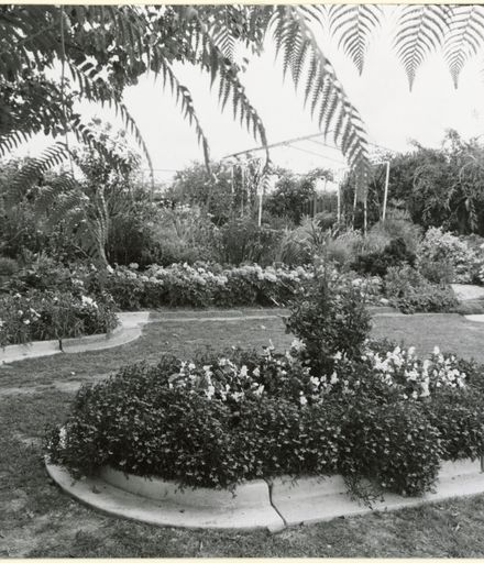 Garden of 41 Sutherland Crescent