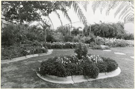 Garden of 41 Sutherland Crescent