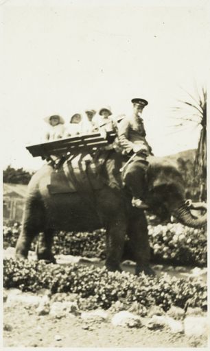 Riding an elephant