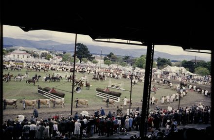 A&P Show, Palmerston North