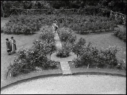 Massey Agricultural College rose gardens