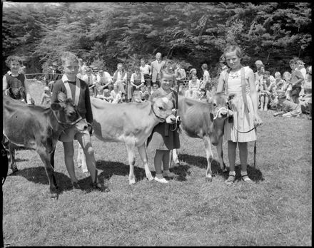 "The Most Care in Rearing" Whakarongo School Calf Day - Resource cover image