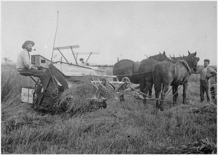 Early Reaping and Binding Machine